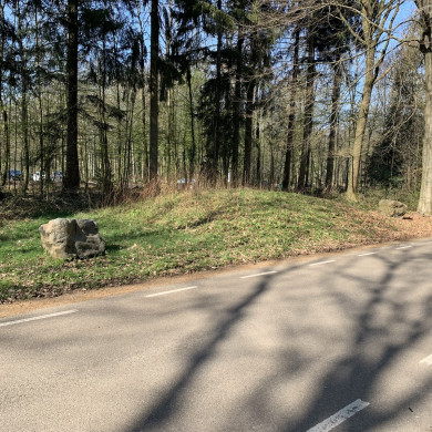 Rijksdienst voor het Cultureel Erfgoed: Bogers, Guido