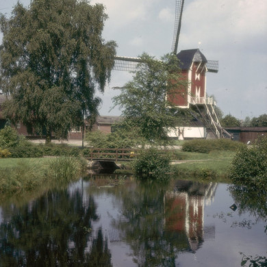 Rijksdienst voor het Cultureel Erfgoed: Tangel, L.M.