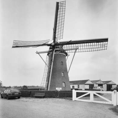 Rijksdienst voor het Cultureel Erfgoed: Heins, IJ.Th.