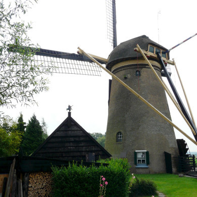Rijksdienst voor het Cultureel Erfgoed: Bogers, Guido