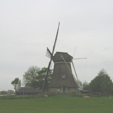 Rijksdienst voor het Cultureel Erfgoed: Terpstra, Frank