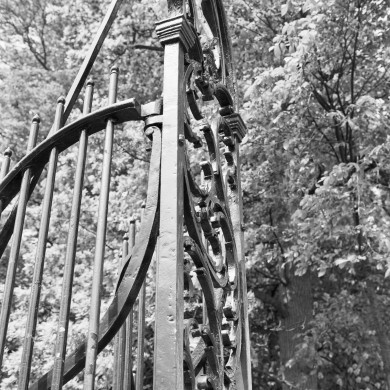 Rijksdienst voor het Cultureel Erfgoed: Heins, IJ.Th.