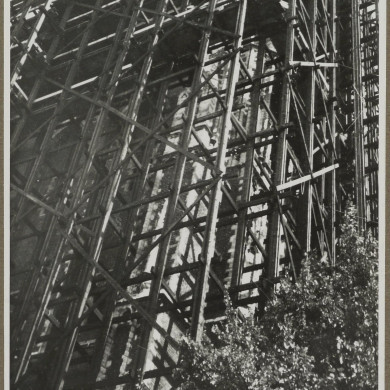 Rijksdienst voor het Cultureel Erfgoed