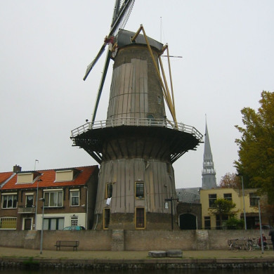 Rijksdienst voor het Cultureel Erfgoed: Terpstra, Frank