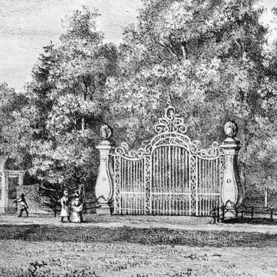 Rijksdienst voor het Cultureel Erfgoed: Koning, J.P. de