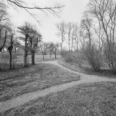 Rijksdienst voor het Cultureel Erfgoed: Wal, A.J. van der