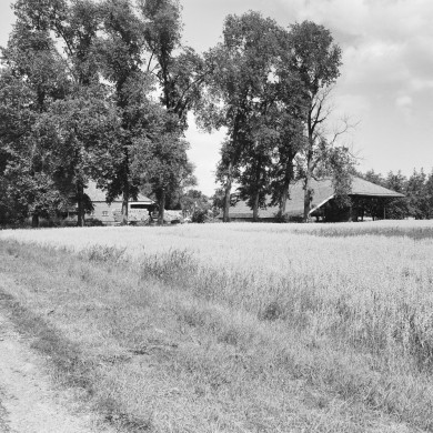Rijksdienst voor het Cultureel Erfgoed: Galen, P. van