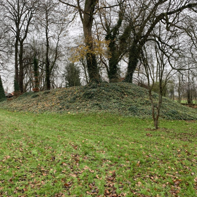 Rijksdienst voor het Cultureel Erfgoed: Bogers, Guido
