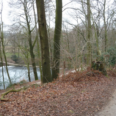 Rijksdienst voor het Cultureel Erfgoed: Lensvelt, Natascha