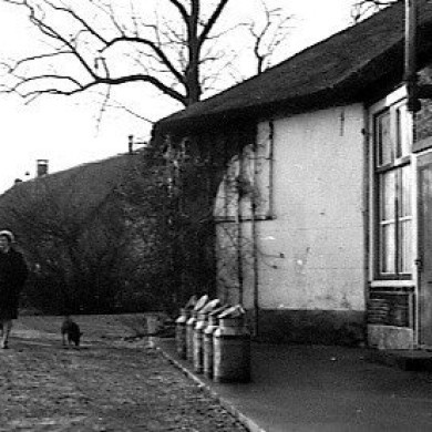 Rijksdienst voor het Cultureel Erfgoed: Hoes, F.