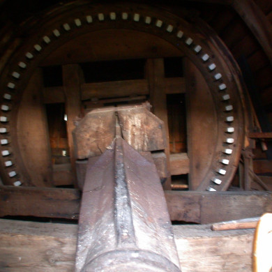 Rijksdienst voor het Cultureel Erfgoed: Terpstra, Frank