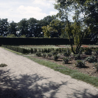 Rijksdienst voor het Cultureel Erfgoed: Galen, P. (Paul) van