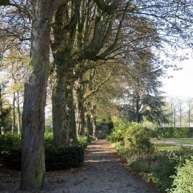 Rijksdienst voor het Cultureel Erfgoed: Technau, Sergé