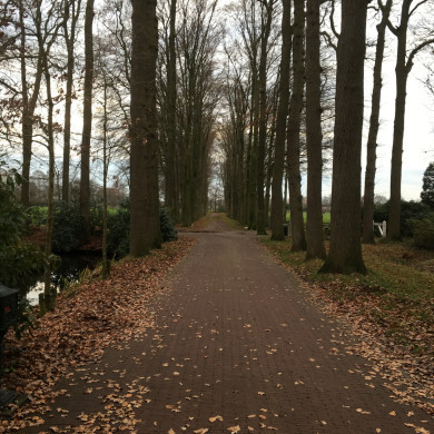 Rijksdienst voor het Cultureel Erfgoed: Wal, Henry van der