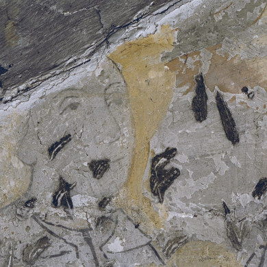 Rijksdienst voor het Cultureel Erfgoed: Tangel, L.M.