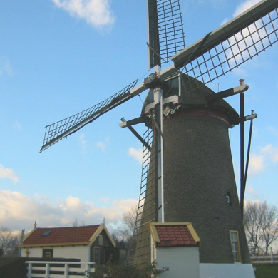 Rijksdienst voor het Cultureel Erfgoed: Terpstra, Frank