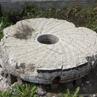 Rijksdienst voor het Cultureel Erfgoed: Booms, C.S. (Chris)