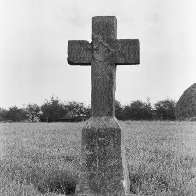 Rijksdienst voor het Cultureel Erfgoed: Delemarre, G.Th.