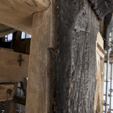 Rijksdienst voor het Cultureel Erfgoed: Roderburg, K. (Kris)