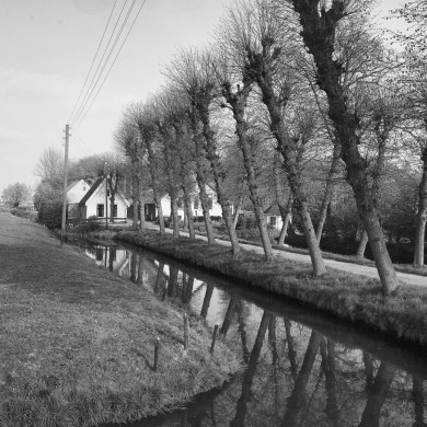 Rijksdienst voor het Cultureel Erfgoed: Tangel, L.M.