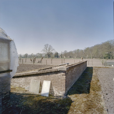 Rijksdienst voor het Cultureel Erfgoed: Heins, IJ.Th.