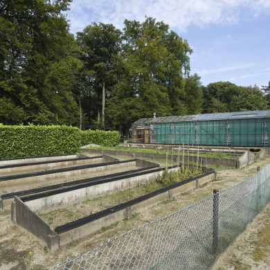 Rijksdienst voor het Cultureel Erfgoed: Galen, Jan van