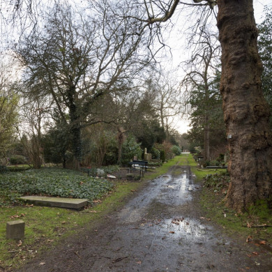 Rijksdienst voor het Cultureel Erfgoed: Booms, C.S. (Chris)