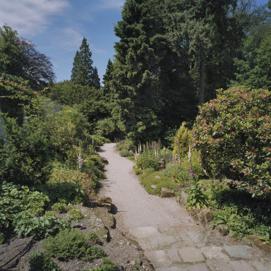 Rijksdienst voor het Cultureel Erfgoed: Wal, A.J. van der