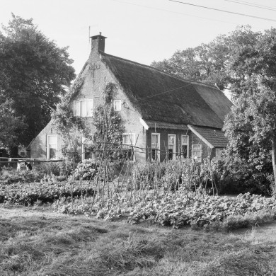 Rijksdienst voor het Cultureel Erfgoed: Delemarre, G.Th.