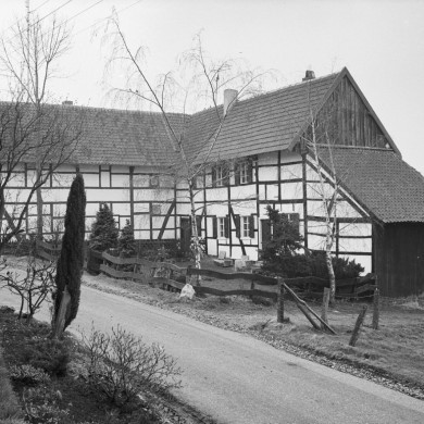 Rijksdienst voor het Cultureel Erfgoed: Tangel, L.M.