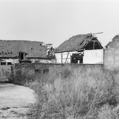 Rijksdienst voor het Cultureel Erfgoed: Tangel, L.M.