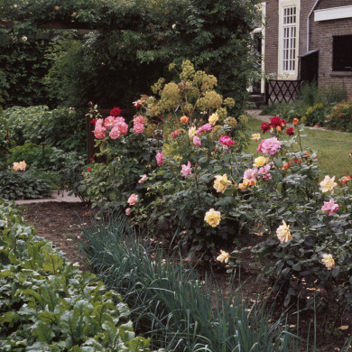 Rijksdienst voor het Cultureel Erfgoed: Heuff M. (Marijke)