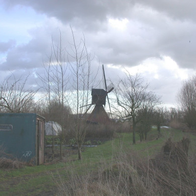 Rijksdienst voor het Cultureel Erfgoed: Terpstra, Frank