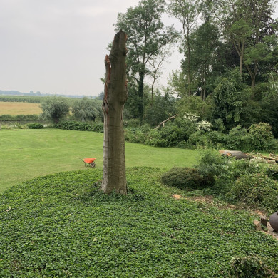 Rijksdienst voor het Cultureel Erfgoed: Bogers, Guido