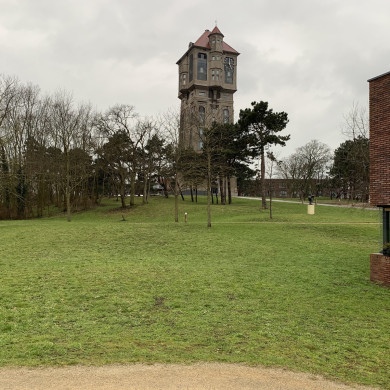 Rijksdienst voor het Cultureel Erfgoed: Bogers, Guido
