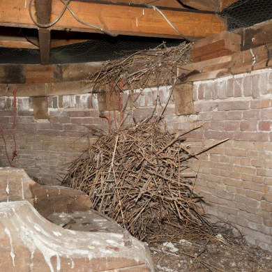 Rijksdienst voor het Cultureel Erfgoed: Booms, C.S. (Chris)