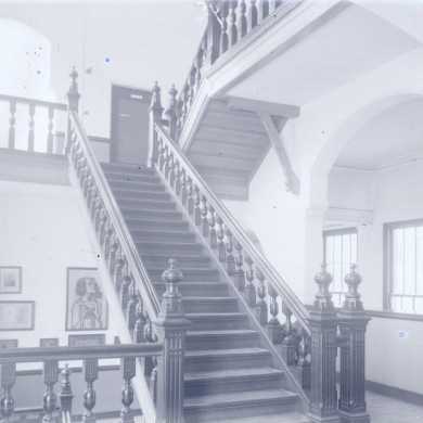 Rijksdienst voor het Cultureel Erfgoed: Brinio