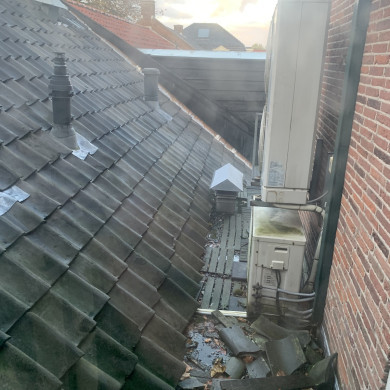 Rijksdienst voor het Cultureel Erfgoed: Bogers, Guido