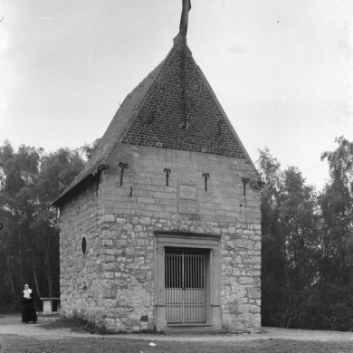 Rijksdienst voor het Cultureel Erfgoed: Delemarre, G.Th.