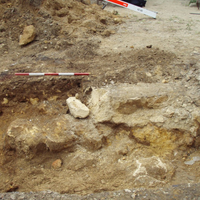 Rijksdienst voor het Cultureel Erfgoed