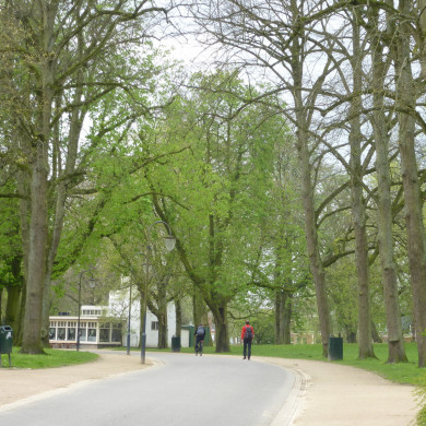 Rijksdienst voor het Cultureel Erfgoed: Lensvelt, Natascha