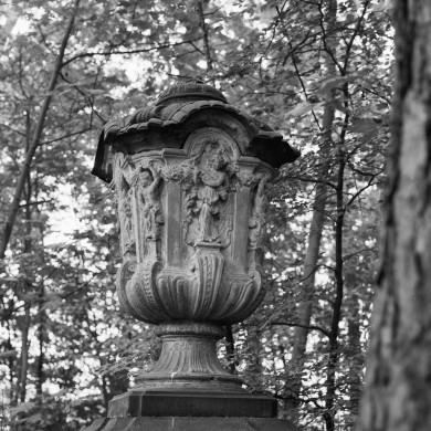 Rijksdienst voor het Cultureel Erfgoed: Wal, A.J. van der