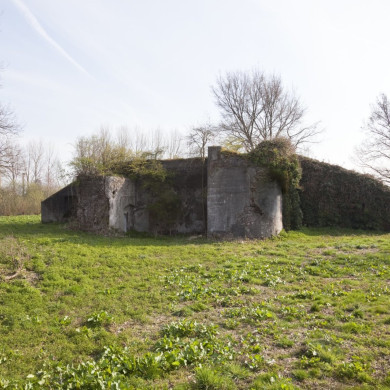 Rijksdienst voor het Cultureel Erfgoed: Booms, C.S. (Chris)-Galen, P. (Paul) van