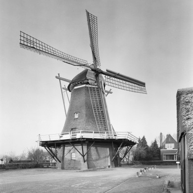 Rijksdienst voor het Cultureel Erfgoed: Heins, IJ.Th.