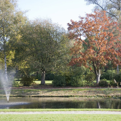 Rijksdienst voor het Cultureel Erfgoed: Technau, Sergé