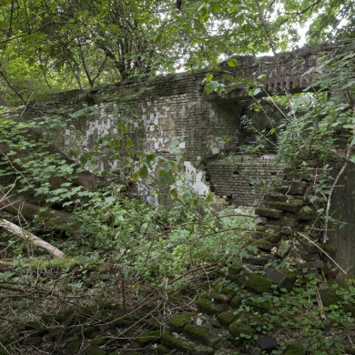 Rijksdienst voor het Cultureel Erfgoed: Booms, C.S. (Chris)