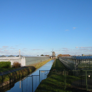 Rijksdienst voor het Cultureel Erfgoed: Terpstra, Frank