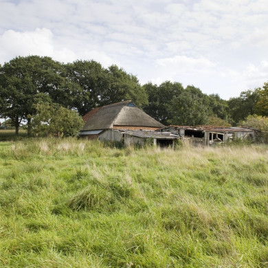 Rijksdienst voor het Cultureel Erfgoed