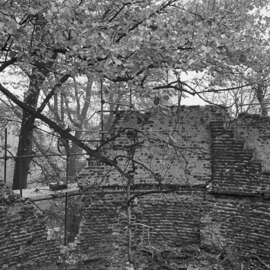 Rijksdienst voor het Cultureel Erfgoed: Tangel, L.M.