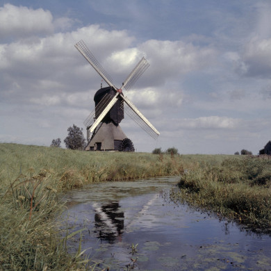 Rijksdienst voor het Cultureel Erfgoed